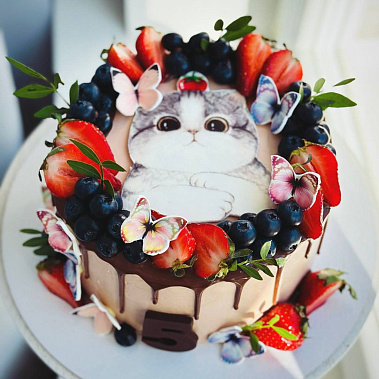 Торт "Котенок" купить - комсомольскнаамуре.сладкоежкин.рф